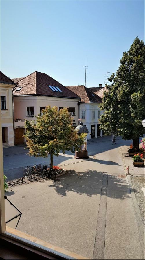 Luxury Apartment In The Heart Of Varasd Kültér fotó